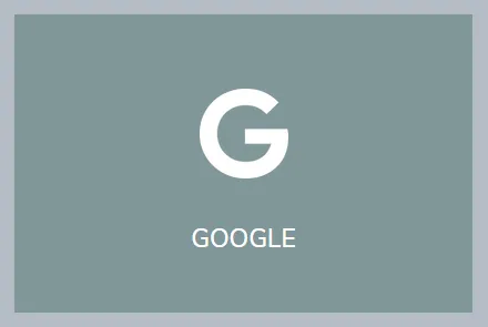 Google Icon